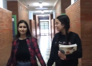IES Saltés
